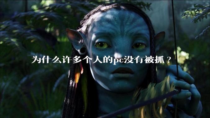 为什么许多个人的pc没有被抓?