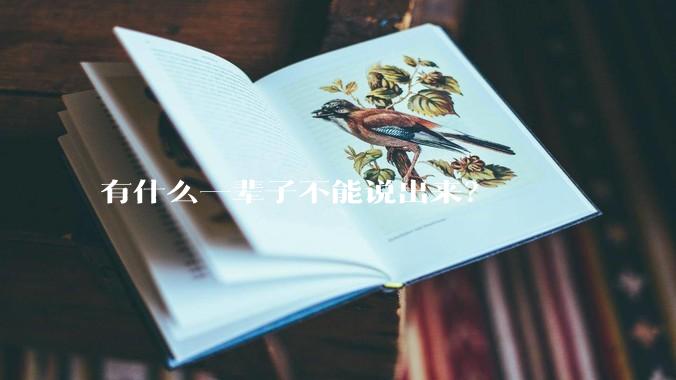 有什么一辈子不能说出来？