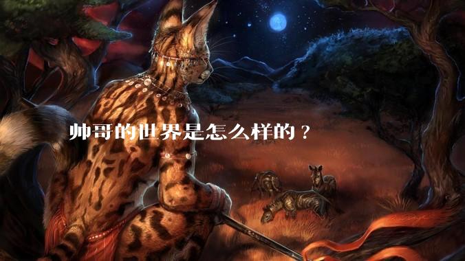 帅哥的世界是怎么样的?