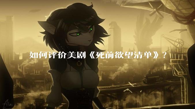 如何评价美剧《死前欲望清单》？