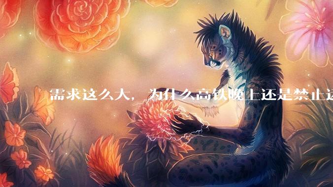需求这么大，为什么高铁晚上还是禁止运行?