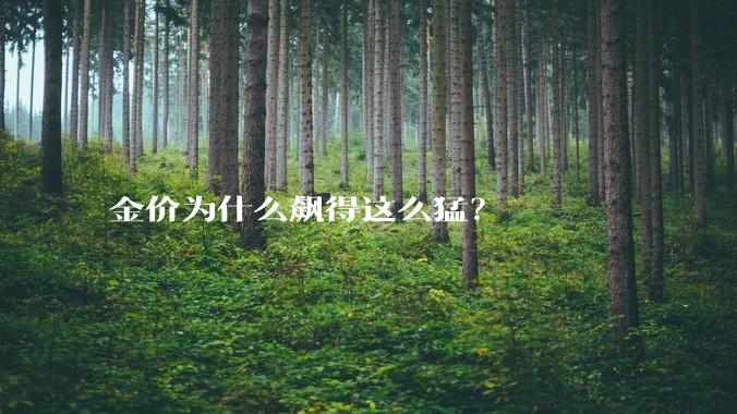 金价为什么飙得这么猛？