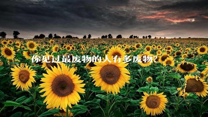 你见过最废物的人有多废物？