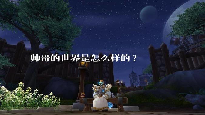帅哥的世界是怎么样的?