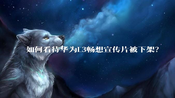 如何看待华为L3畅想宣传片被下架？