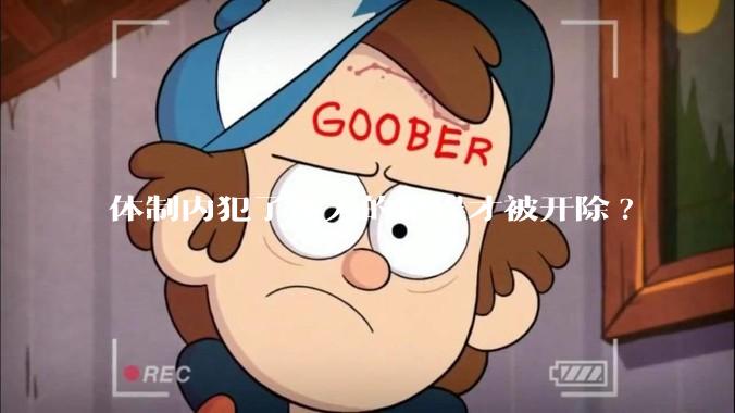 体制内犯了多大的错误才被开除?