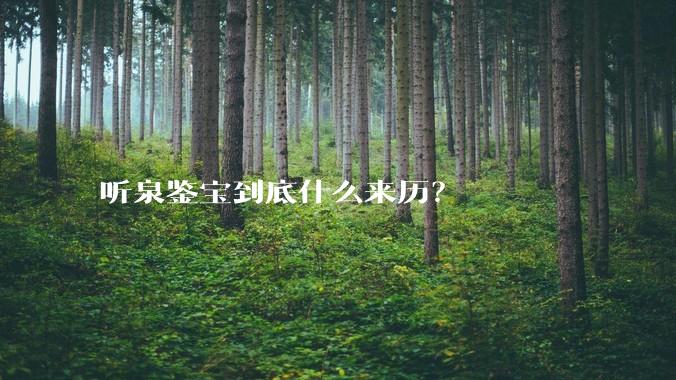 听泉鉴宝到底什么来历？