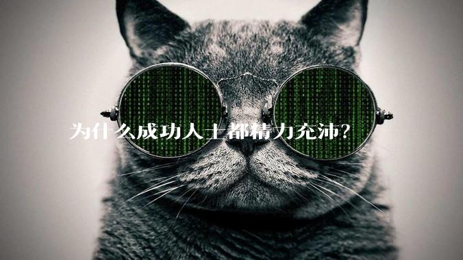 为什么成功人士都精力充沛？