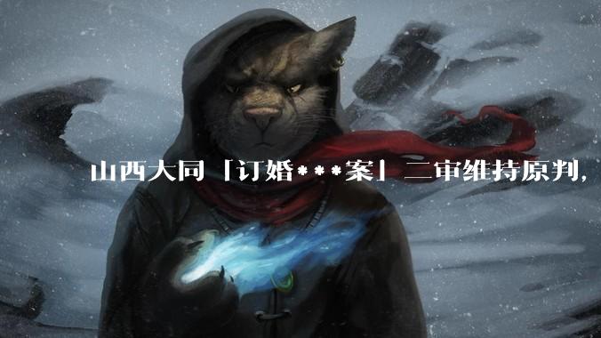 山西大同「订婚***案」二审维持原判，被告获刑 3 年，如何从法律角度解读？