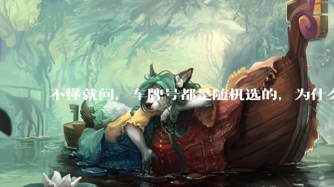 不懂就问，车牌号都是随机选的，为什么好车牌号大部分都在豪车身上呢?