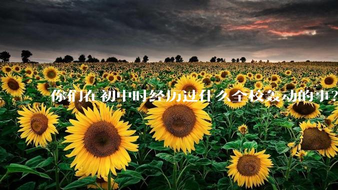 你们在初中时经历过什么全校轰动的事？