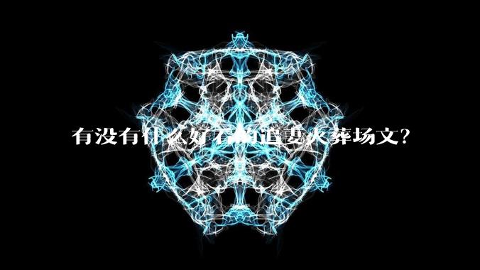 有没有什么好看的追妻火葬场文？