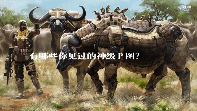 有哪些你见过的神级Ｐ图？