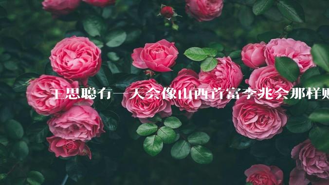 王思聪有一天会像山西首富李兆会那样败光家产吗？