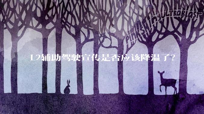 L2辅助驾驶宣传是否应该降温了？