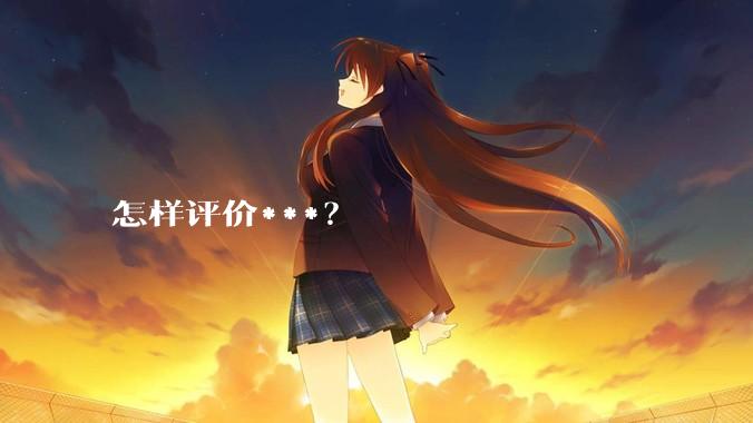 怎样评价***？