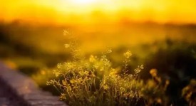 VCT CN联赛BLG战队电竞总决赛夺冠，重庆电竞热潮助推中国电竞发展